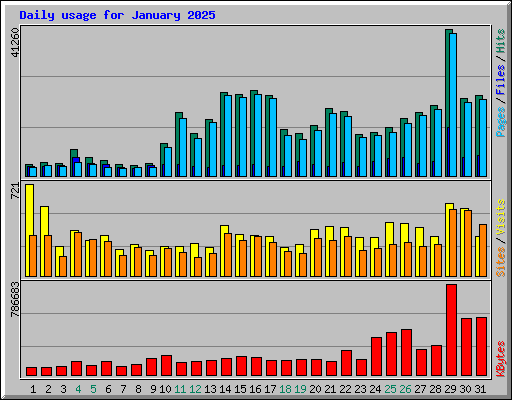 Daily usage for January 2025