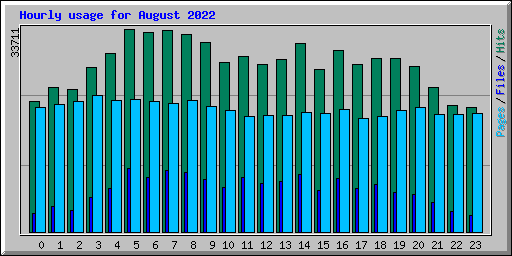 Hourly usage for August 2022