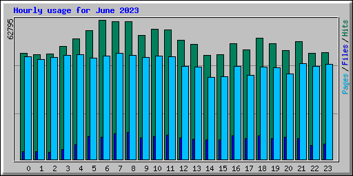 Hourly usage for June 2023