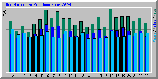 Hourly usage for December 2024