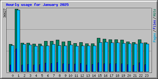 Hourly usage for January 2025