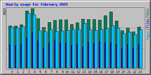 Hourly usage for February 2025