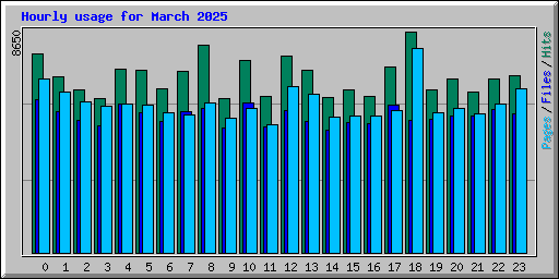 Hourly usage for March 2025