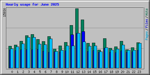 Hourly usage for June 2025