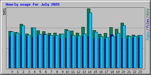 Hourly usage for July 2025