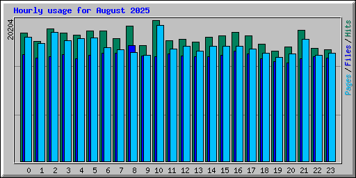 Hourly usage for August 2025