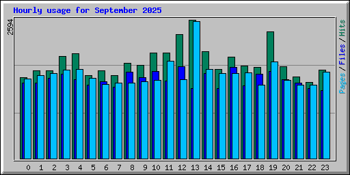 Hourly usage for September 2025