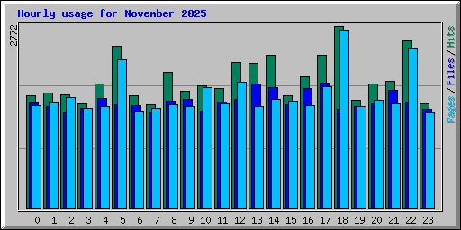 Hourly usage for November 2025