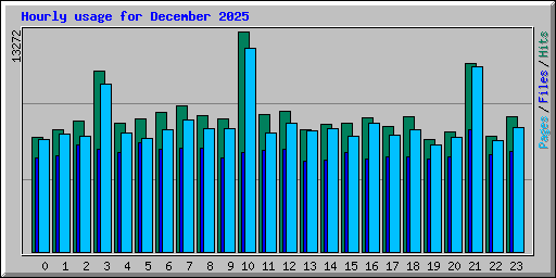 Hourly usage for December 2025