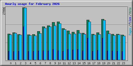 Hourly usage for February 2026